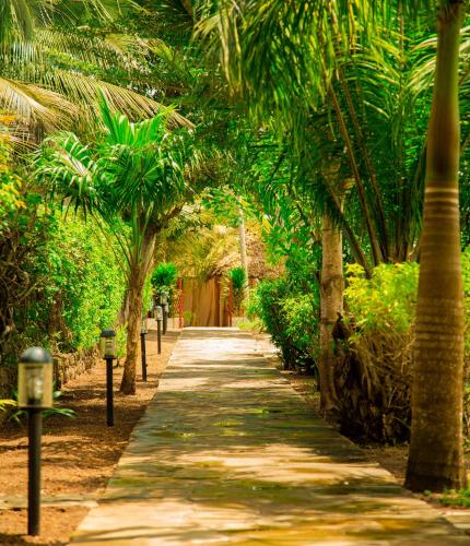 Mzima Beach Residences - Diani Beach - 주변 환경