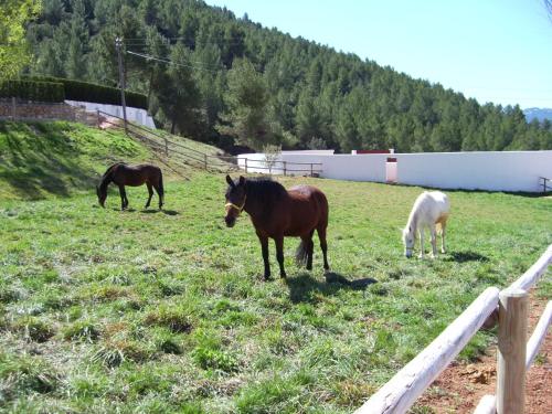 Casa Rural Los Nogales