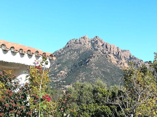 villa Dammar