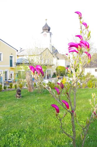 Natur.gut Gartner in Sankt Marien