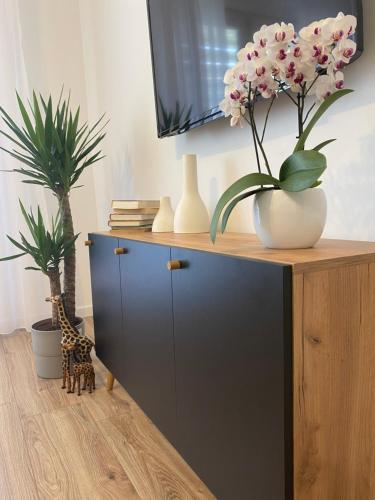 Nowoczesny Apartament w Dzierżoniowie - parter - balkon - pokój + sypialnia