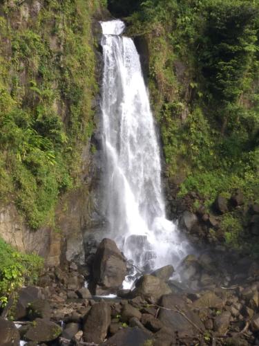 Otoczenie, Sea World Vacation Home in Roseau