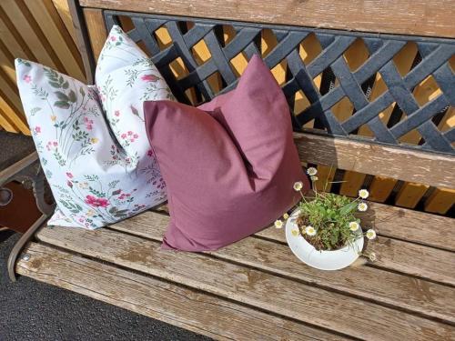  Bergluft Apartment MELLAU in Mellau