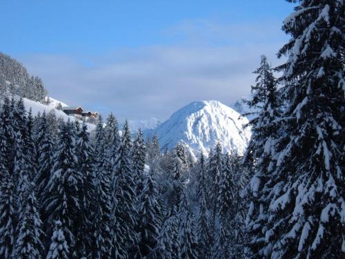 Bed & Breakfast Dolomiti Bey Haus Pinter