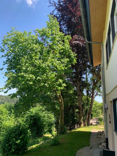 ทัศนียภาพภายนอกโรงแรม, Moderne Wohnung im Grünen mit privatem Garten (Moderne Wohnung im Grunen mit privatem Garten) in โดเนาเอส์ชินเกน