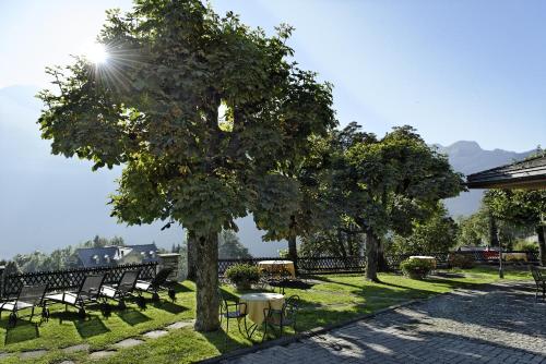Hotel Alpenrose Wengen - zwischen Tradition und Moderne - image 12