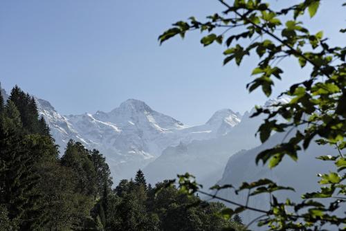 Hotel Alpenrose Wengen - bringing together tradition and modern comfort