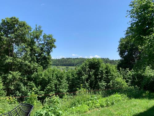 สภาพแวดล้อมโดยรอบ, Moderne Wohnung im Grünen mit privatem Garten (Moderne Wohnung im Grunen mit privatem Garten) in โดเนาเอส์ชินเกน