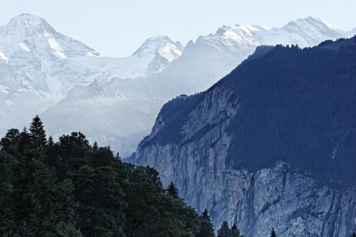 Hotel Alpenrose Wengen - bringing together tradition and modern comfort