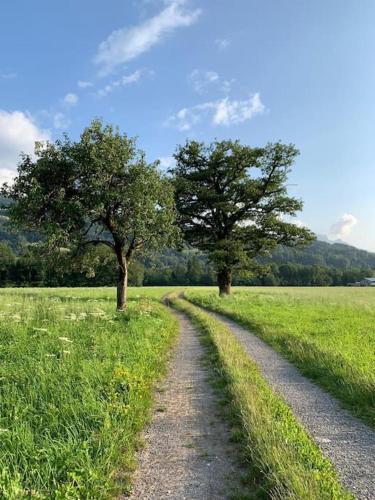 Ravissante Villa moderne au pied des Montagnes gîte à louer Cluses