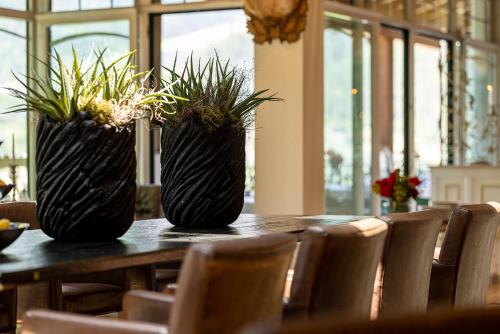 Hotel Finkennest - image 14