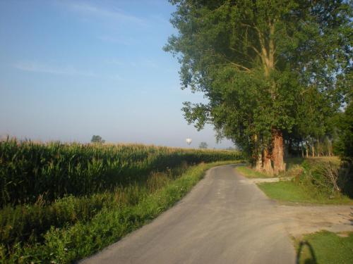 沃伊莱斯维尔提斯住宿加早餐旅馆 沃伊莱斯维尔提斯住宿加早餐旅馆