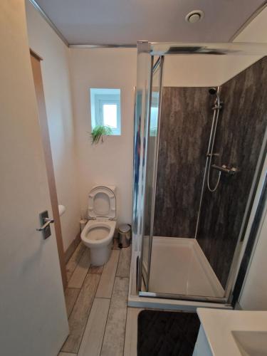 Bathroom, Milne Apartment 2 in Rochdale
