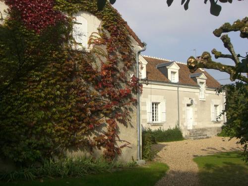 Gîte Saint-Georges-sur-Cher 6 pièces 12 personnes - FR-1-491-118 - image 4