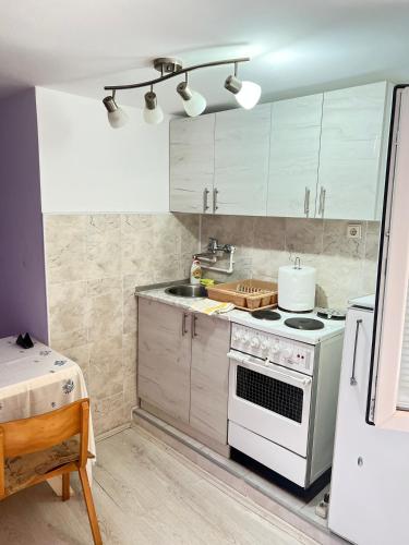 One-Bedroom Apartment image 10