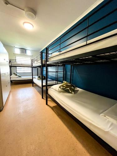 Camera condivisa, dormitorio misto, riservato agli adulti