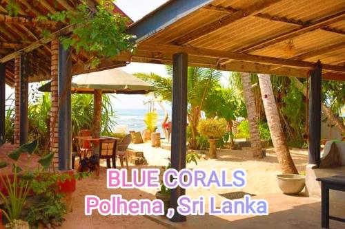 Blue Corals Beach Bungalow Matara