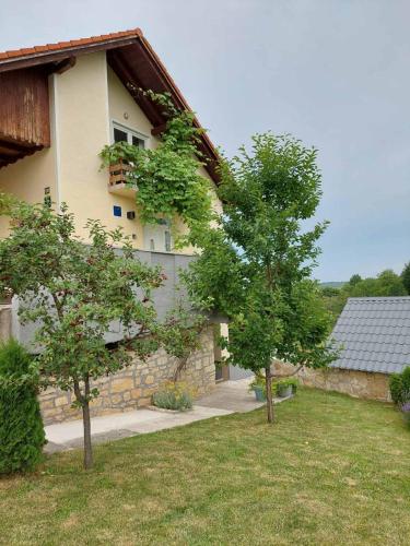  Apartman Hana in Drežnik Grad