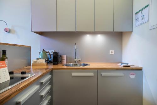 Large Studio with Kitchenette and Balcony image 7