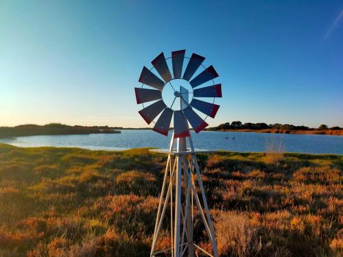 Coorong Island Retreat - Farm Stay at Pet Friendly Property