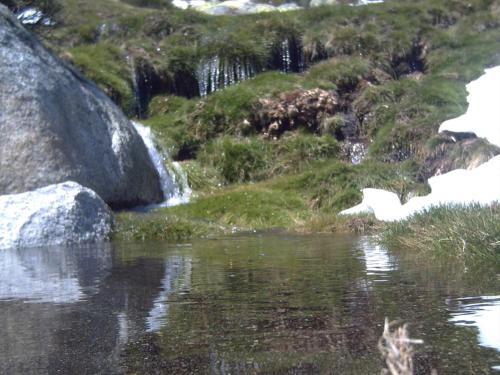 Apartamentos El Roble - image 3