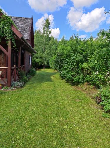 Brzozowy Chillout in Czarne
