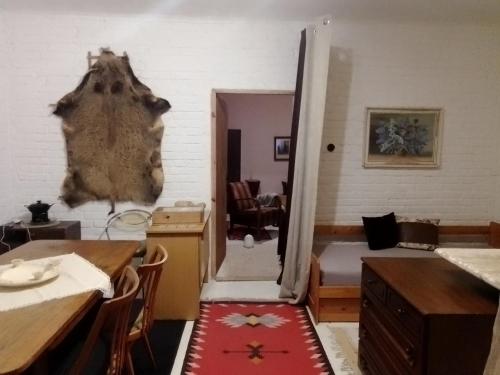 KOKOPEPINO in โปลิชกา