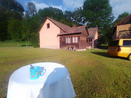 KOKOPEPINO in โปลิชกา