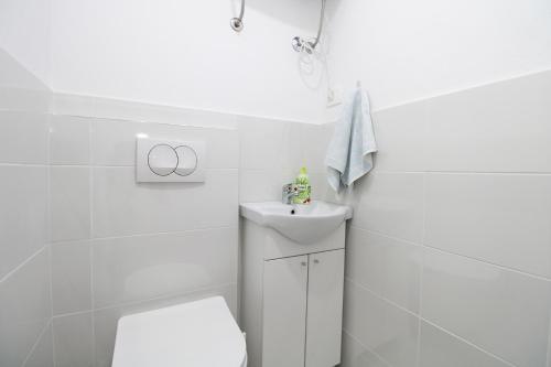 Apartments Viktorija 1828 - main image