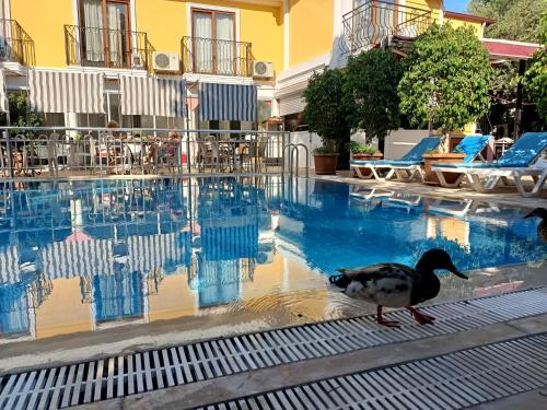 Hotel Barlas Fethiye