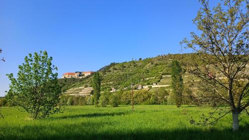 周邊環境, Ferienwohnung Alt Freyburg in 弗賴堡(溫斯特魯特)