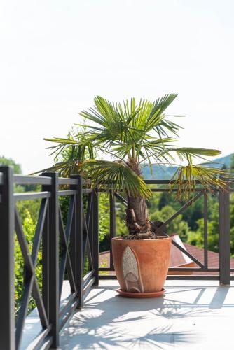 Balkons/terase, Katzer Villa in Badacsonytördemic