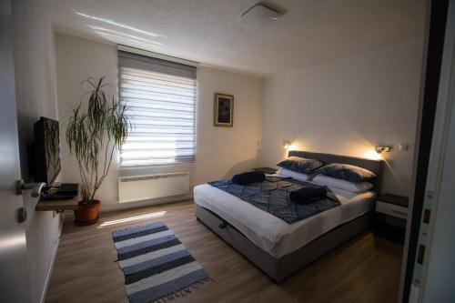 Apartment Salman - image 7