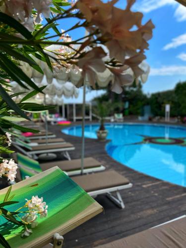 Park Hotel Cellini - image 6