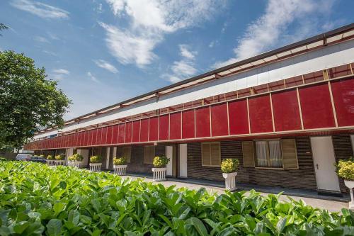 Hotel Motel Miami - image 12