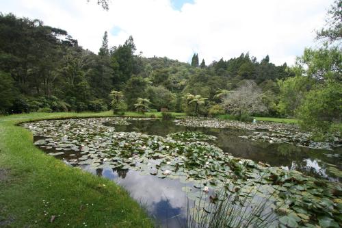 Garden, Rapaura Water Gardens Boutique Accommodation in Thames
