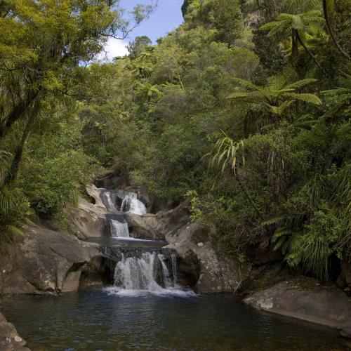 Garden, Rapaura Water Gardens Boutique Accommodation in Thames