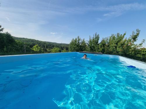 HOOPOVO HOUSE Fruška gora - Accommodation - Irig