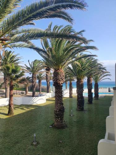 Hotel Torre Praia in Porto Santo