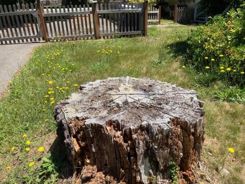 Coastal Studio Coastal Studio