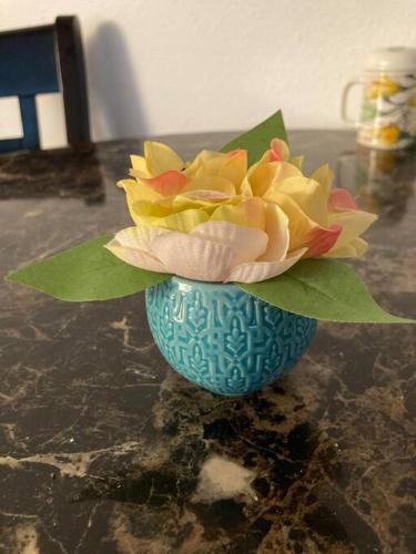 Coastal Studio Coastal Studio