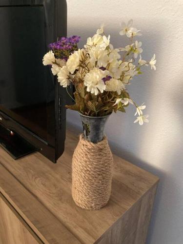 Coastal Studio Coastal Studio