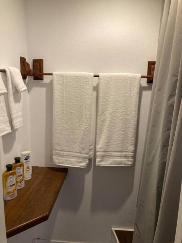 Coastal Studio Coastal Studio