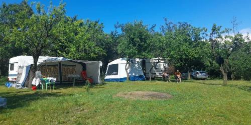OffCamping Bobicesti - land for camping, with water source and without electricity -Doar teren pentru campare cu sursa de apa , fără electricitate ! Self check-in !