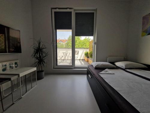 A&D Studios Room Type - Studio with Terrace