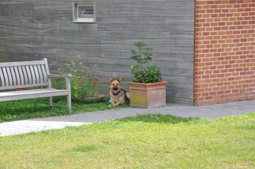 tuin, B&B Pierre-Marie in Koekelare