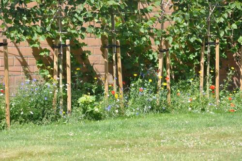 B&B Pierre-Marie - image 13