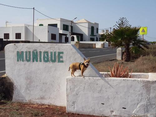  Casa Antonia Reyes, a la sombra de Famara in Muñique