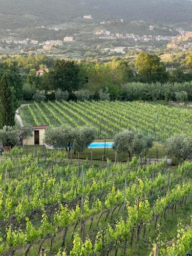 Casale Verdeluna Wine Resort 2