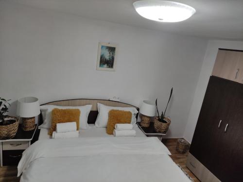 Casa Cărbunaru (Casa Carbunaru) in Tirgu Okna